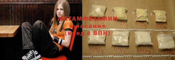 прущие грибы Новодвинск