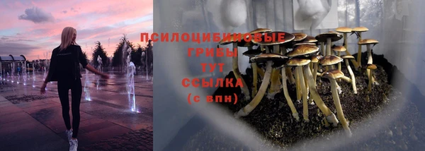 спайс Новозыбков