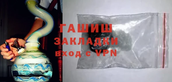 прущие грибы Новодвинск