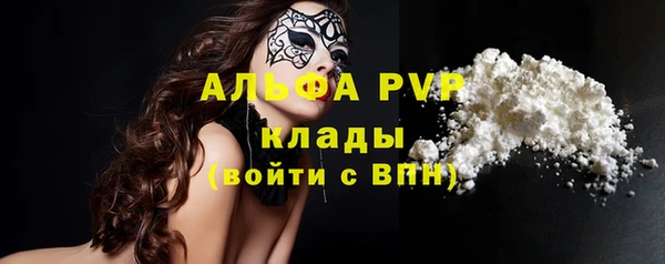 прущие грибы Новодвинск