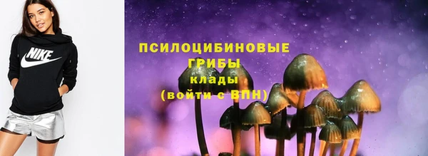 прущие грибы Новодвинск