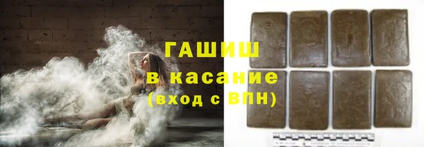 прущие грибы Новодвинск