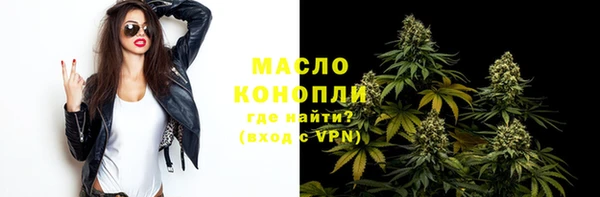 прущие грибы Новодвинск