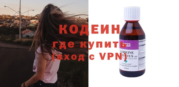 прущие грибы Новодвинск