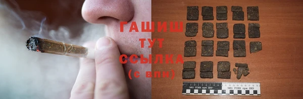 прущие грибы Новодвинск