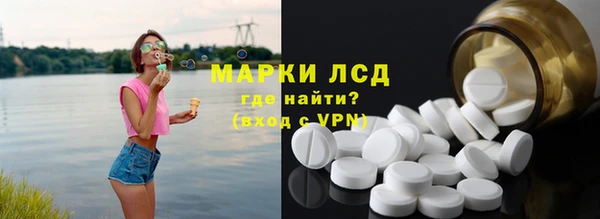 прущие грибы Новодвинск