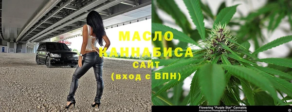 прущие грибы Новодвинск