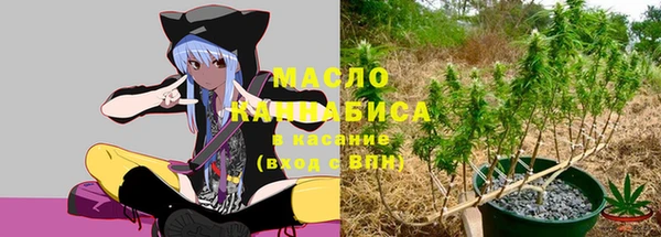 прущие грибы Новодвинск