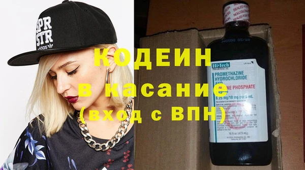 прущие грибы Новодвинск