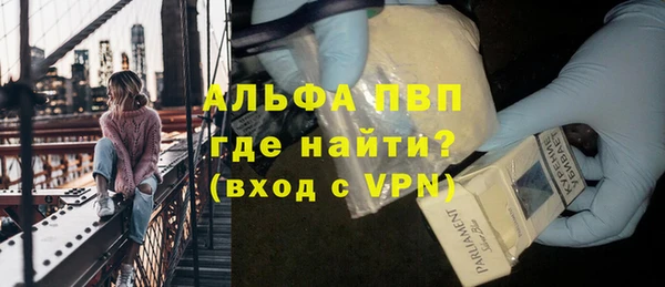 прущие грибы Новодвинск