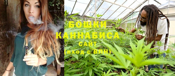 прущие грибы Новодвинск